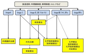 食道癌治療アルゴリズム